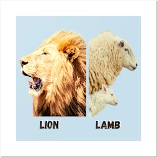 A lion, a lamb and a sheep Posters and Art